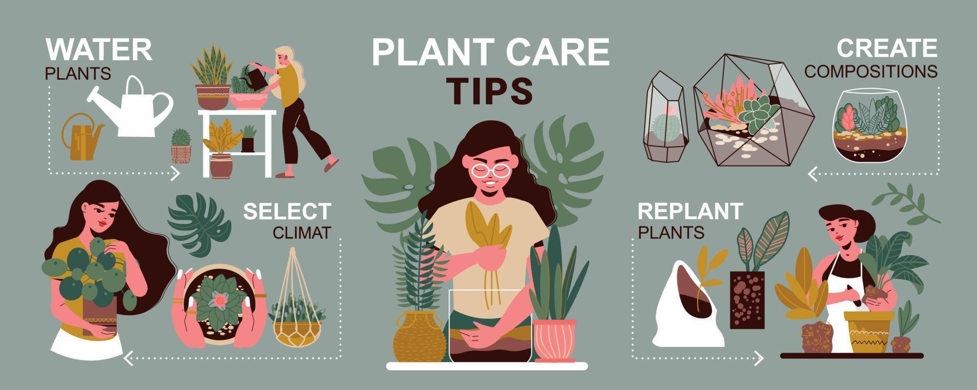 cuidado de las plantas infografía vector