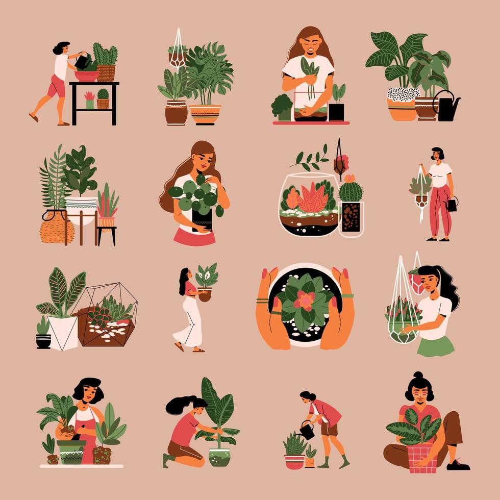 conjunto de iconos de plantas caseras vector