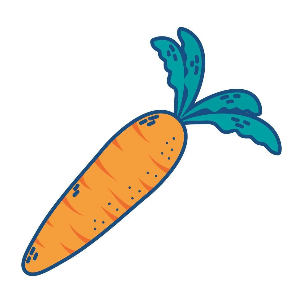 fresh carrot vegetable isolated icon vector