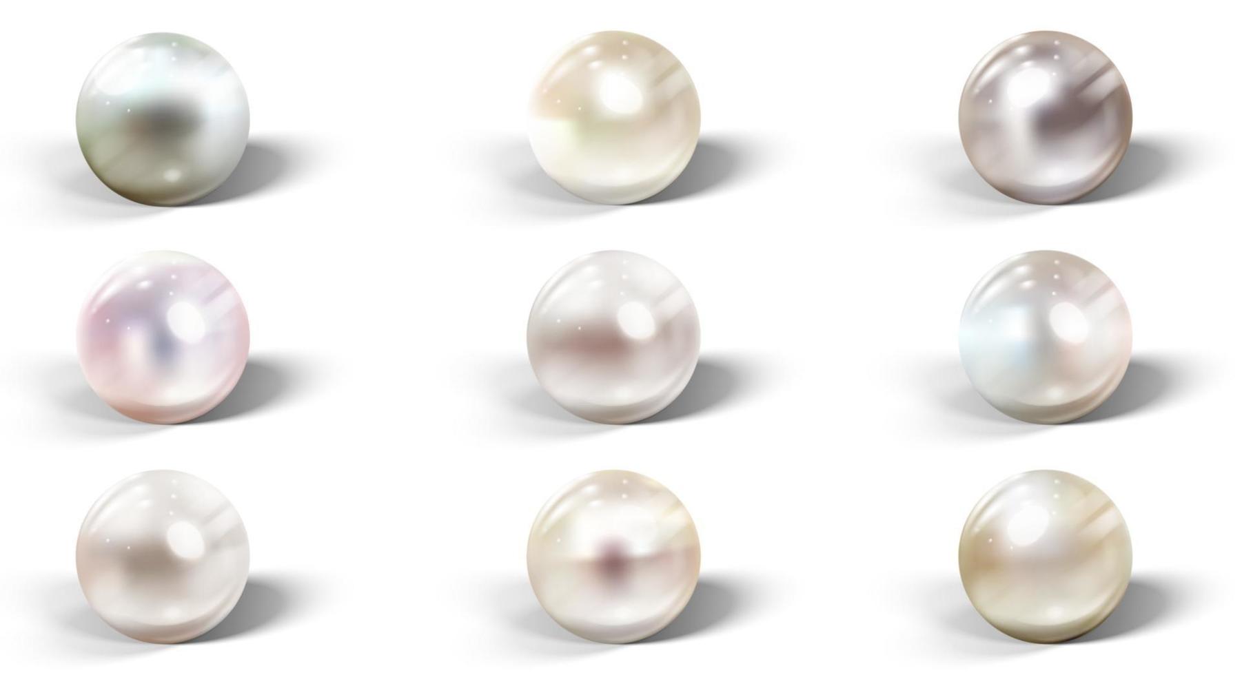 Realistic shiny natural sea pearl with light effects. vector