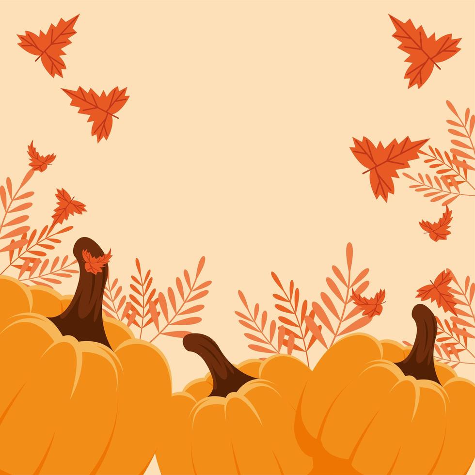 autumn pumpkins and leafs vector