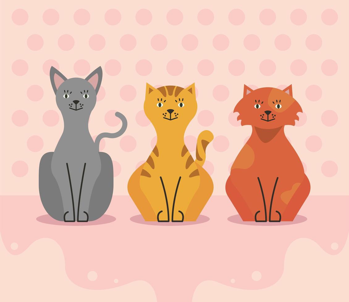 three cats characters vector