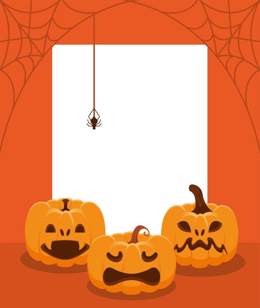 halloween pumpkins and spider vector