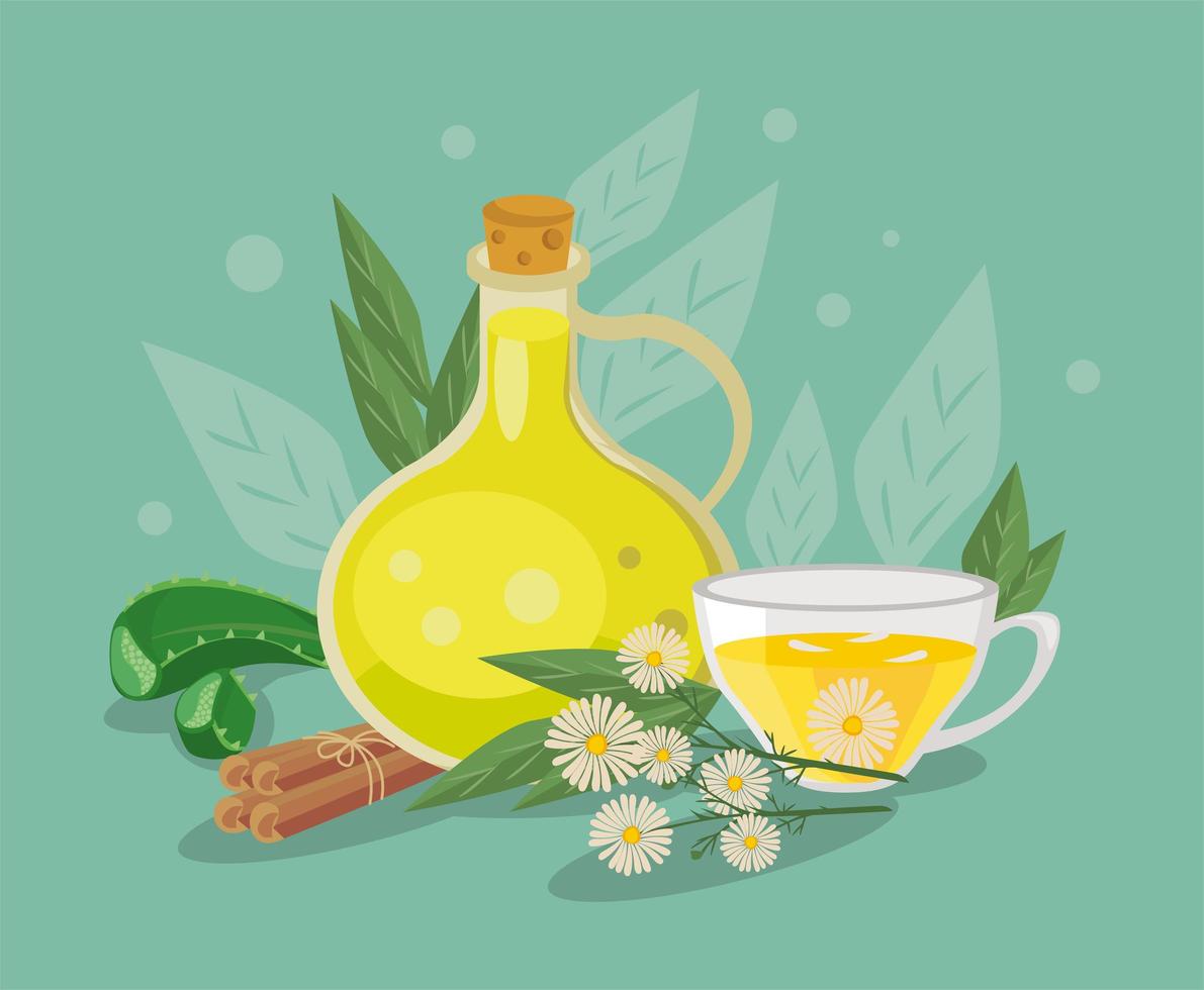 aceite de oliva y remedios caseros vector