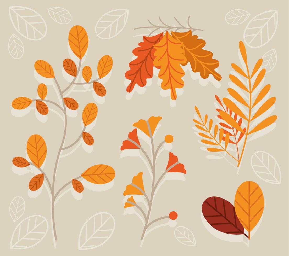 five autumn leafs vector