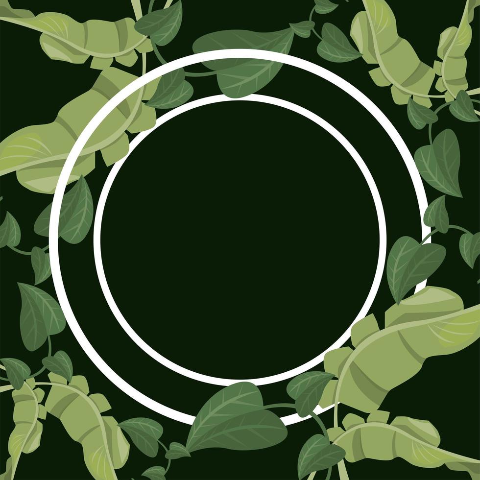tropical leafs circular frame vector