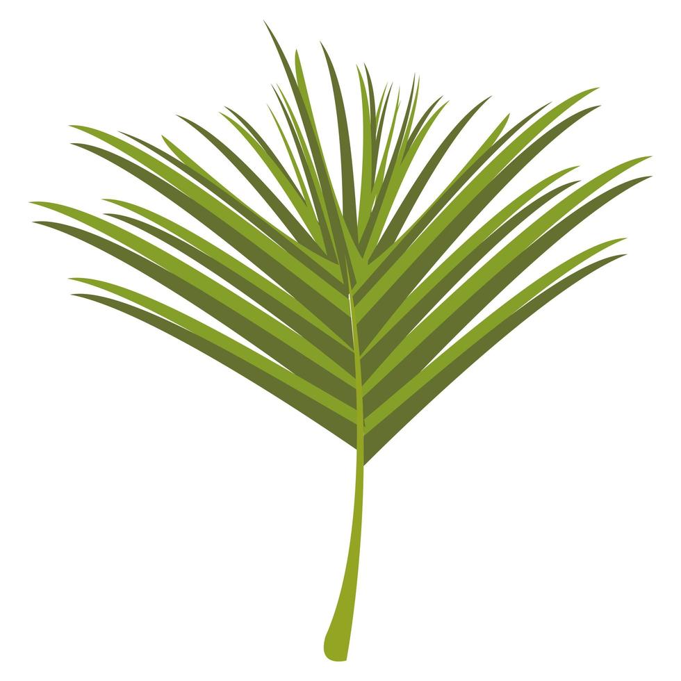 exotic tropical leaf vector