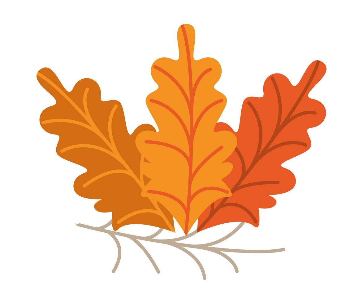 autumn leafs in branch vector