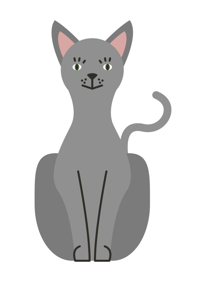 cute gray cat vector