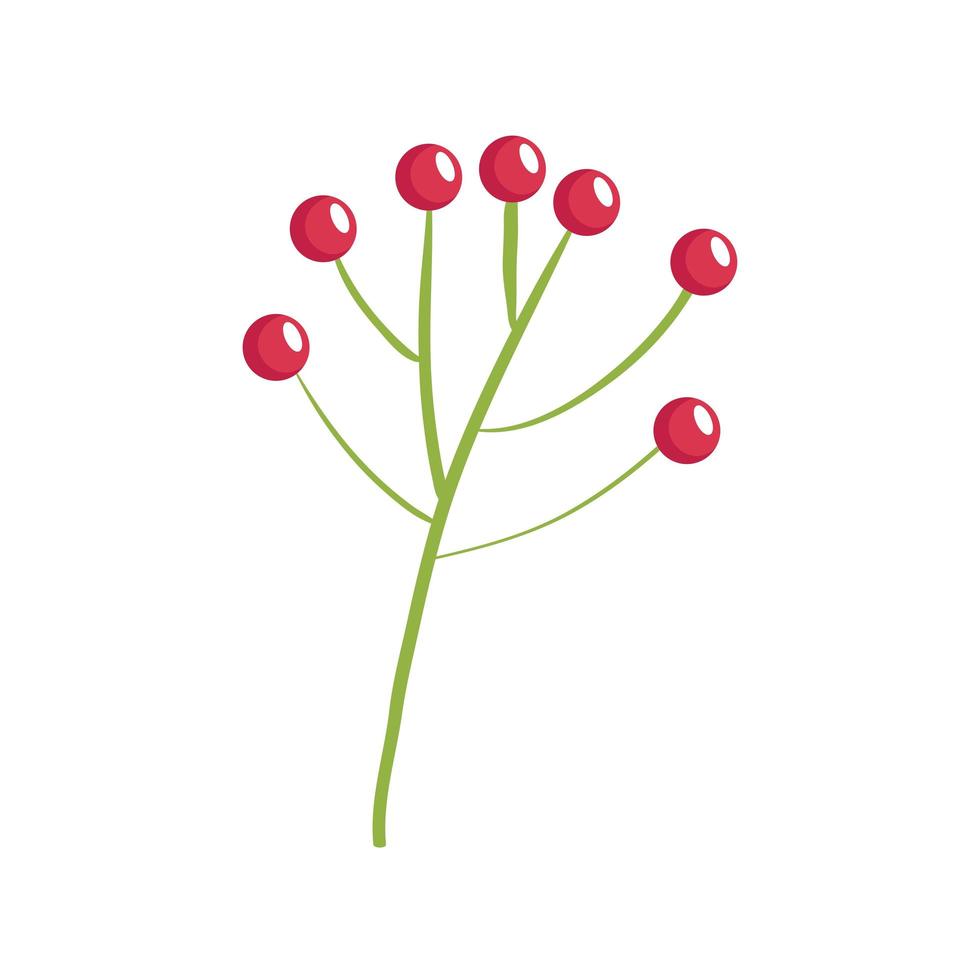 branch with seeds vector