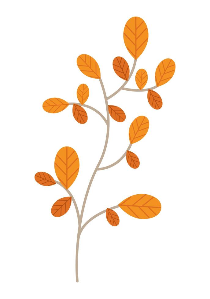 rama con hojas de otoño vector