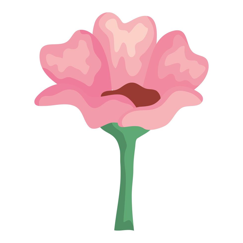 flor rosa aislada vector