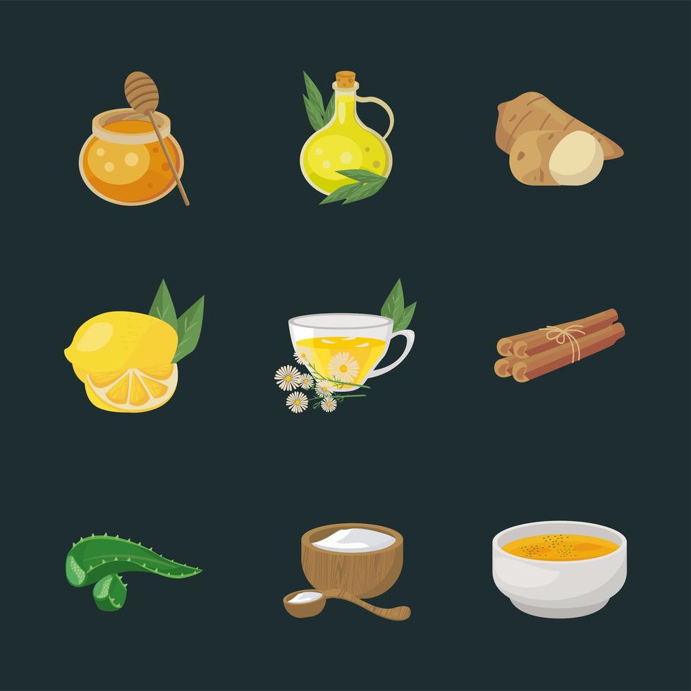 nine home remedies icons vector