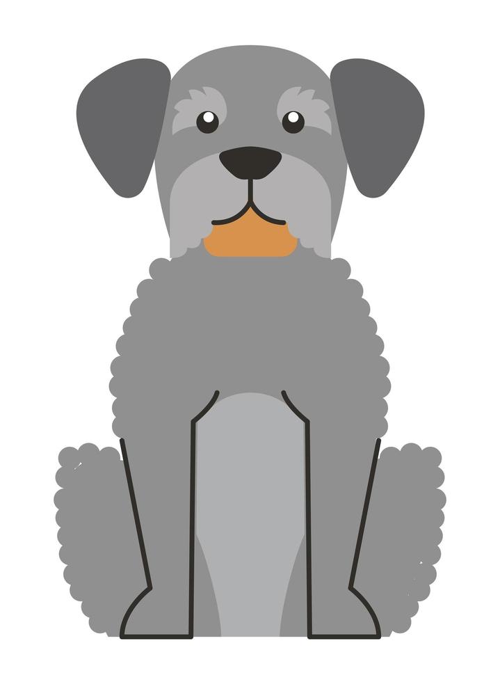 mascota del perro gris vector