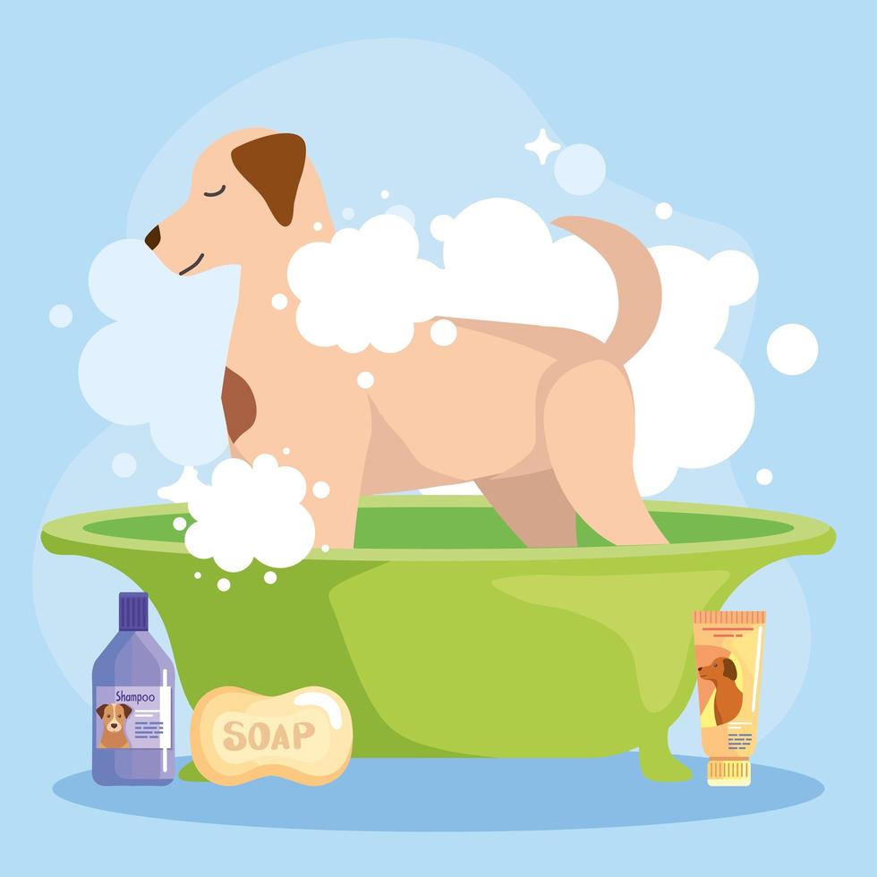 Dog washing with shampoo vector