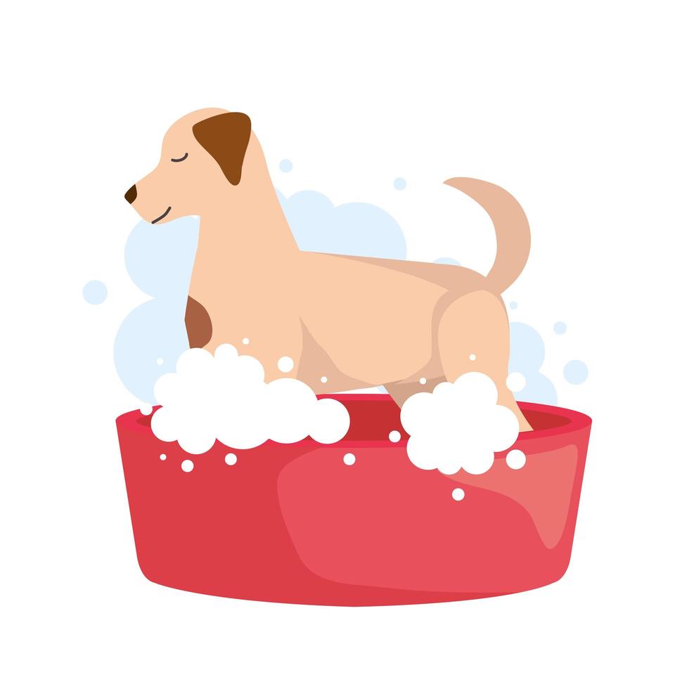 Dog inside shower vector