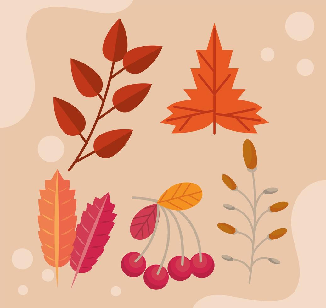 otoño cinco hojas vector