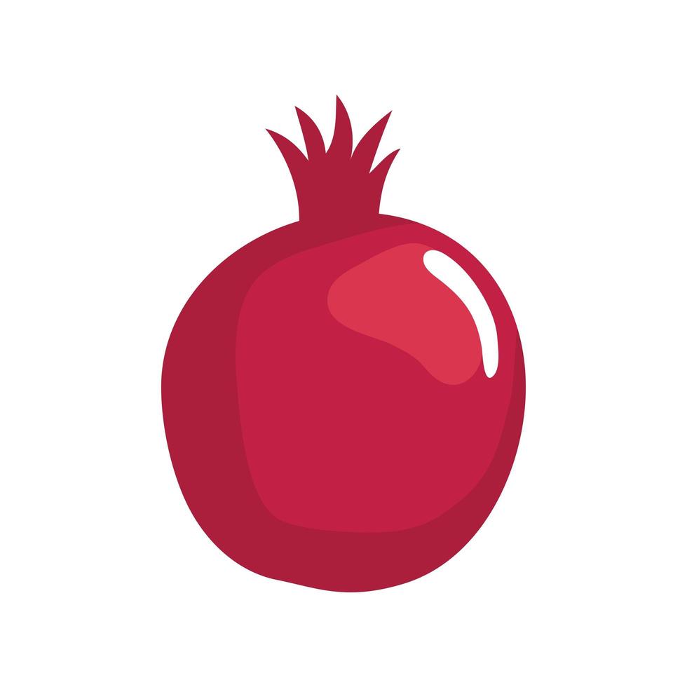 pomegranate fruit icon vector