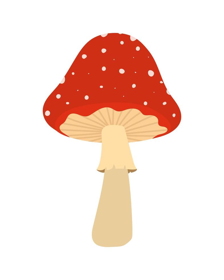 ilustración de hongo rojo vector