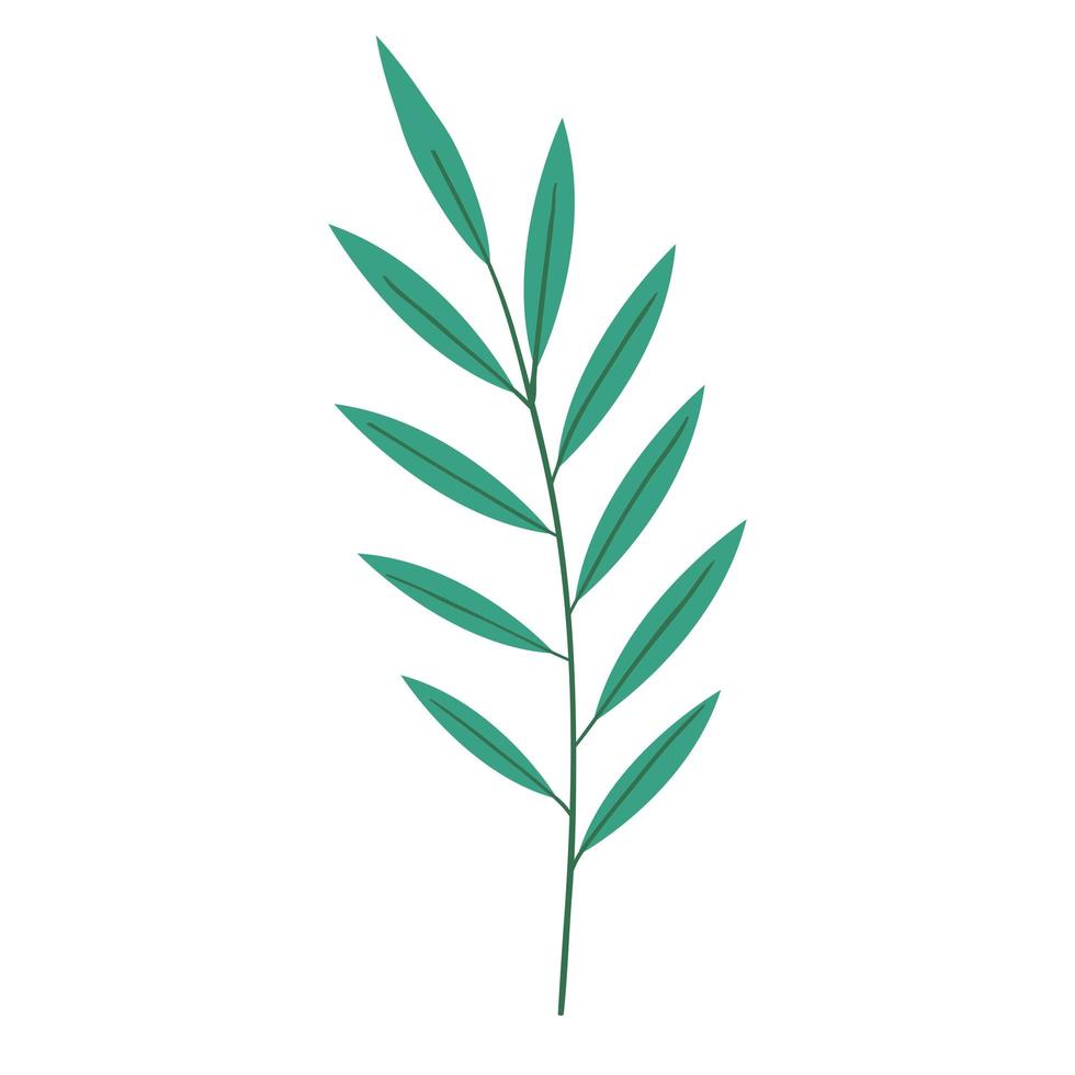 branch and leaves vector