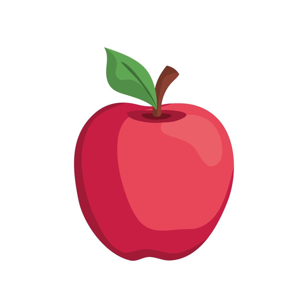 Isolated apple fruit vector