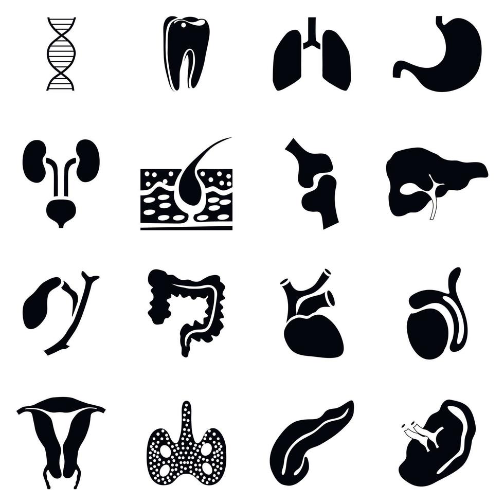 Internal organs icons set, simple style vector