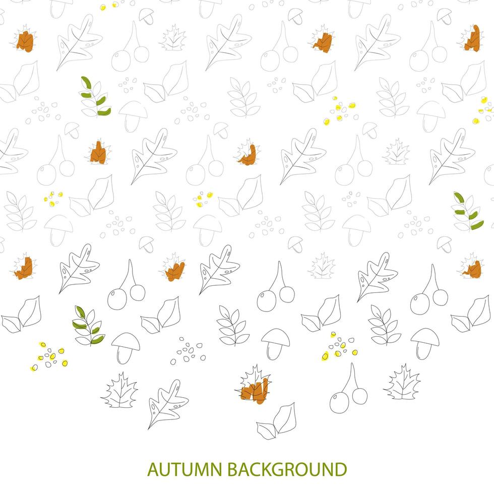 Conjunto de hojas de otoño aislado sobre fondo blanco - vector