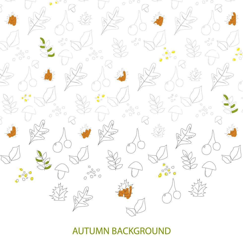 Autumn leaves set isolated on white background - Vector