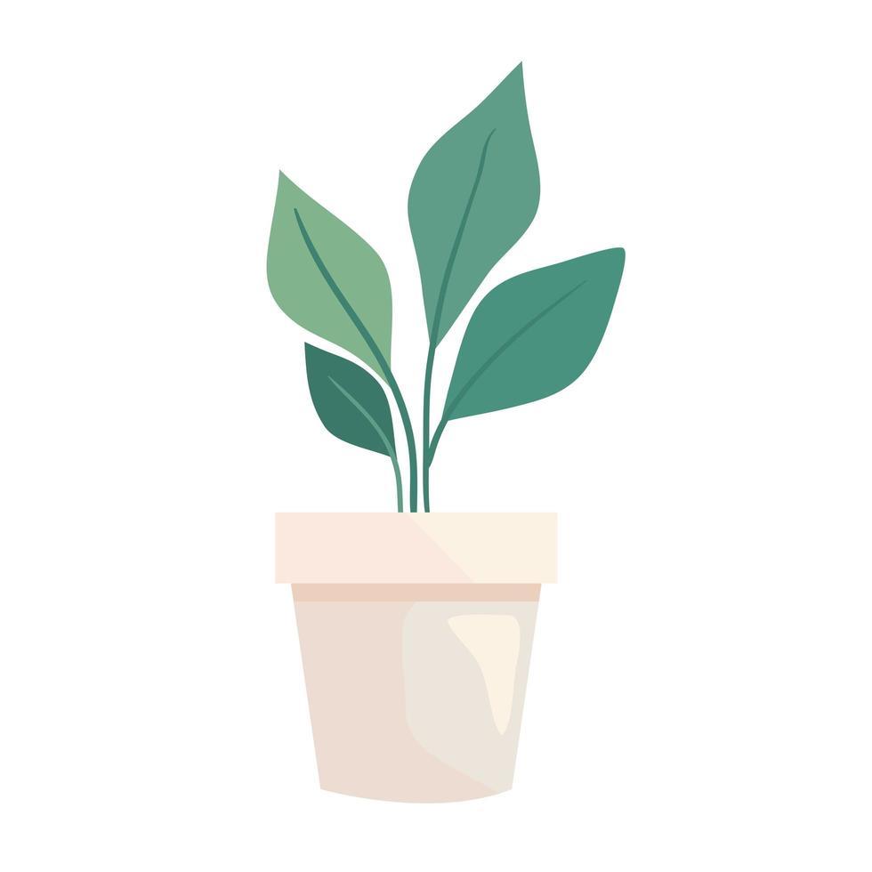 pot with indoor plant vector