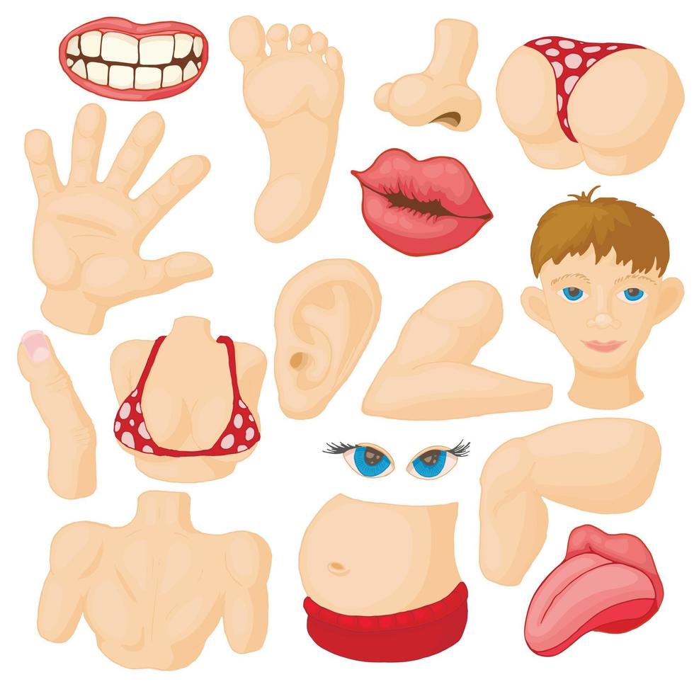 Human body parts icons set vector