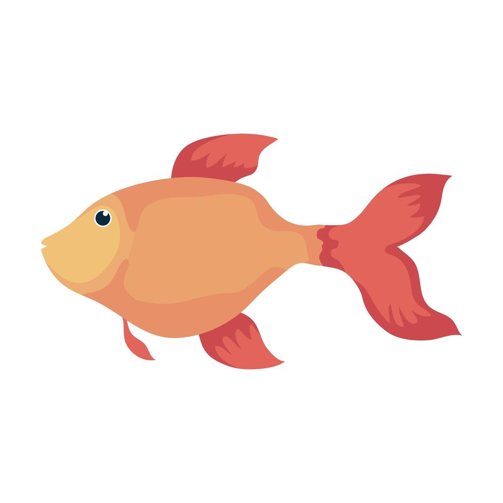 gold fish swiming vector