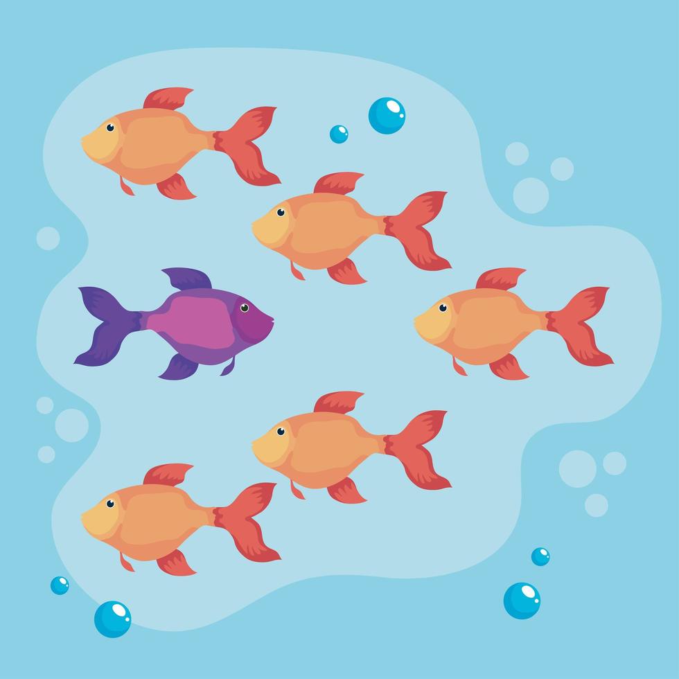unique concept fishes vector
