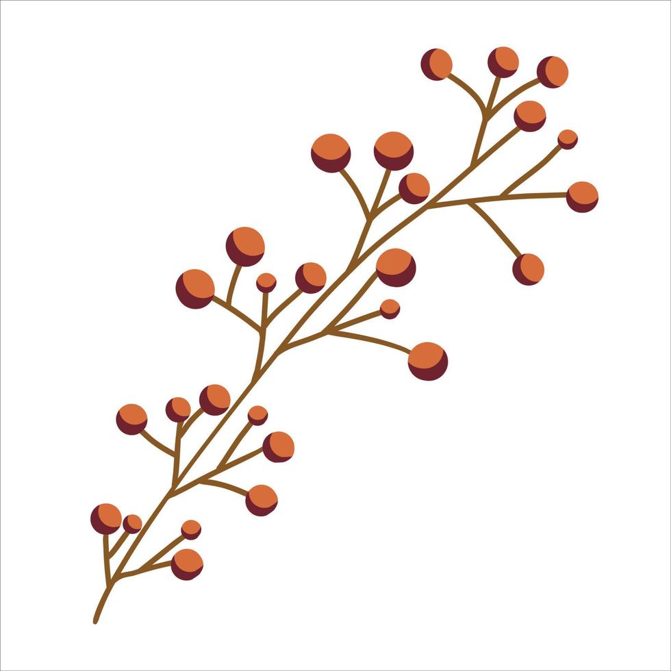 Gypsophila is isolated on white background. A branch in flat boho style for the design of jewelry, cards and invitations. Vector illustration of gypsophila flowers