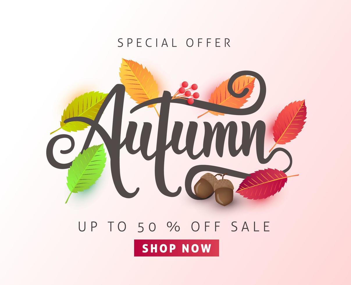 Autumn sale background layout decorate with leaves for shopping sale or promo poster and frame leaflet or web banner vector