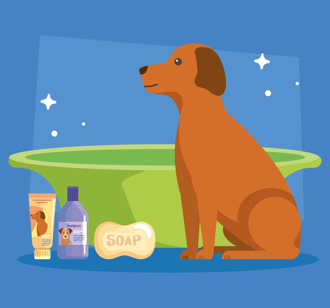 Dog with shower bucket vector