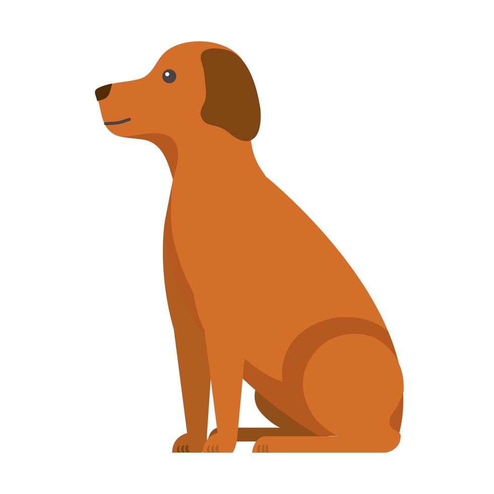 brown dog cartoon 4223354 Vector Art at Vecteezy