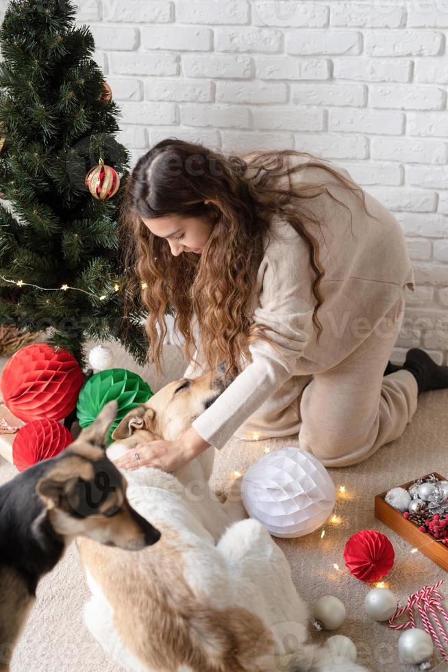 Atractiva mujer joven decorando el árbol de navidad y jugando con perros foto