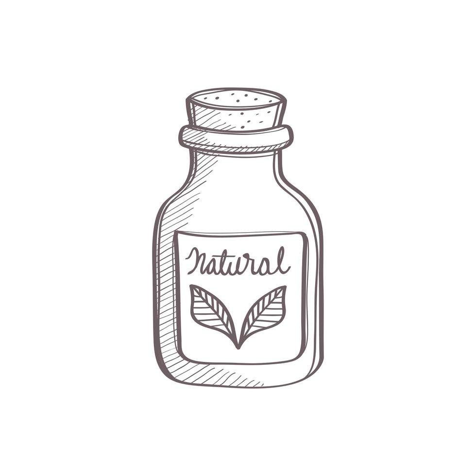 bottle of cosmetic natural vector