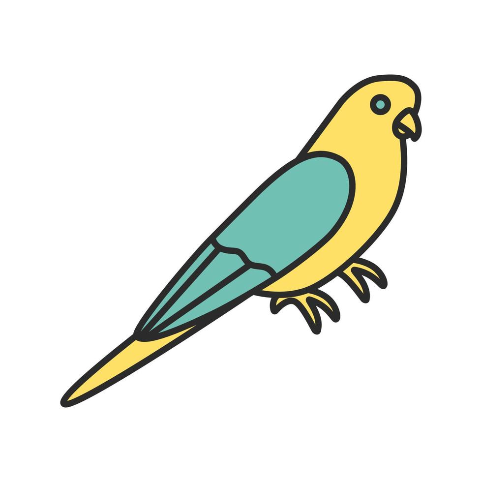 Budgerigar color icon vector