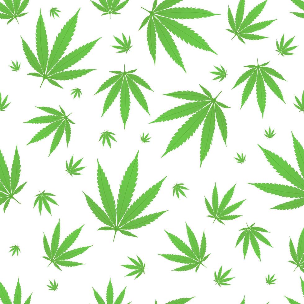 Patrón sin fisuras con la planta de cáñamo de cannabis hojas verdes ilustración de vector de diseño de estilo plano aislado sobre fondo blanco.