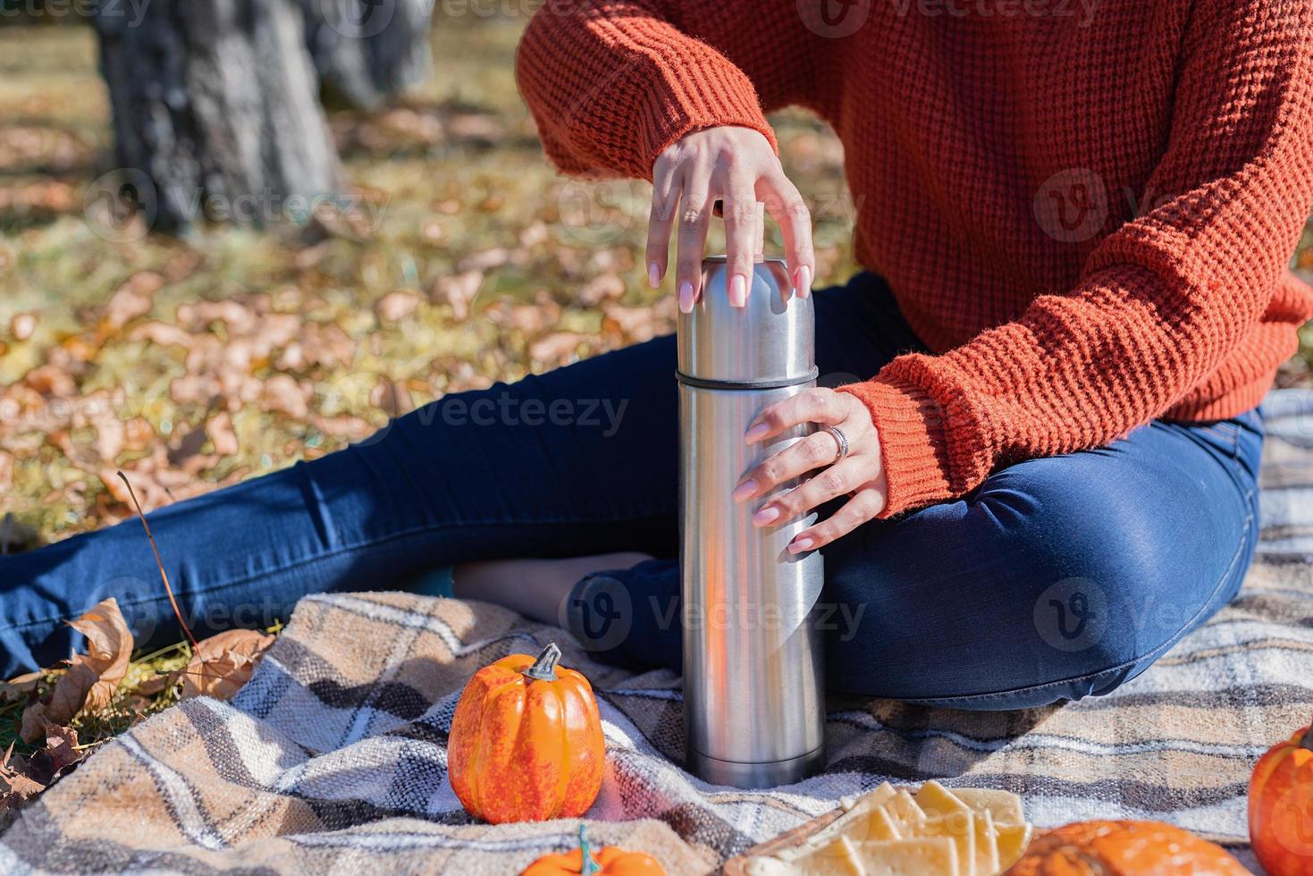 Beautiful woman in red sweater on a picnic in a autumn forest photo