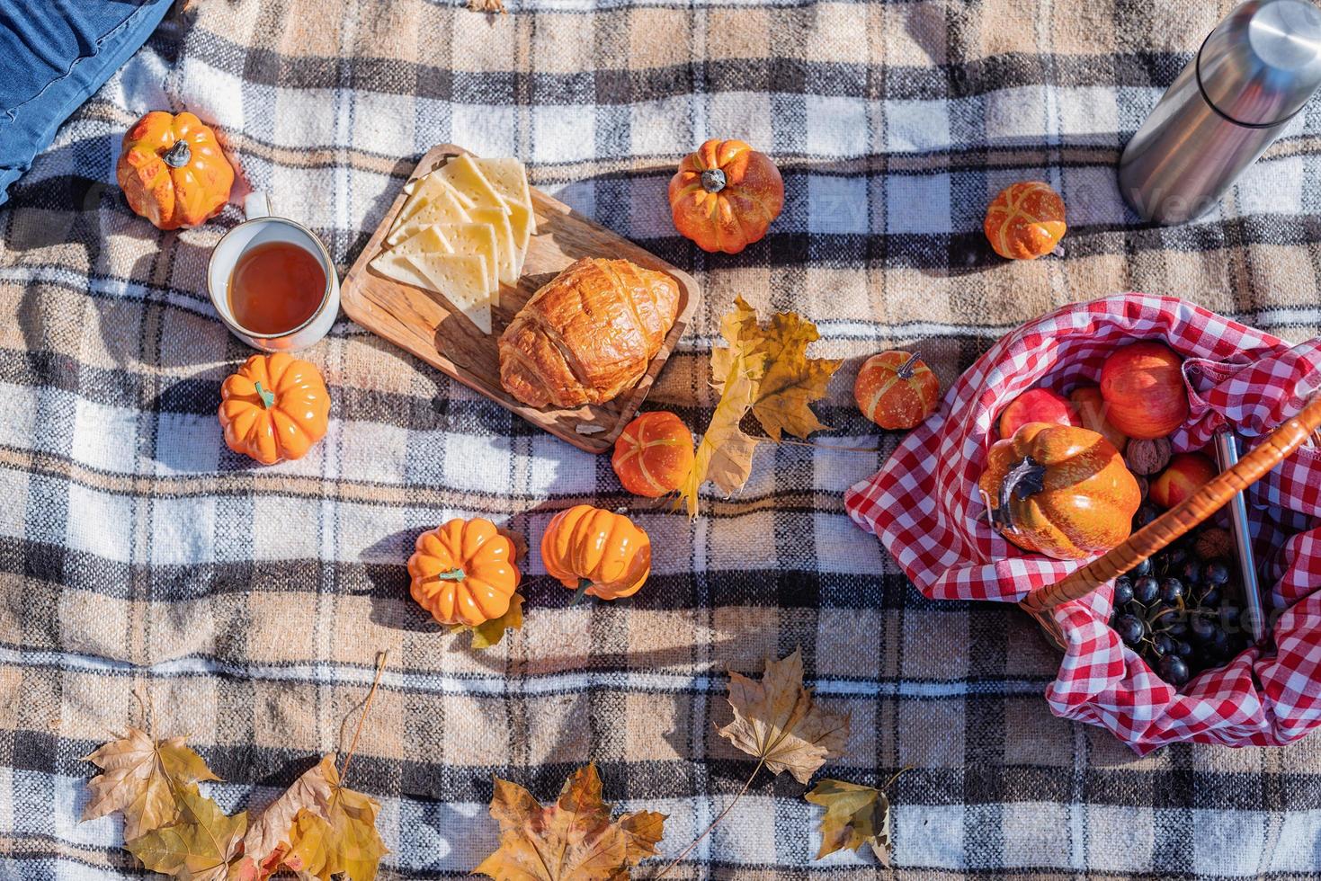 picnic de otoño laicos plana foto