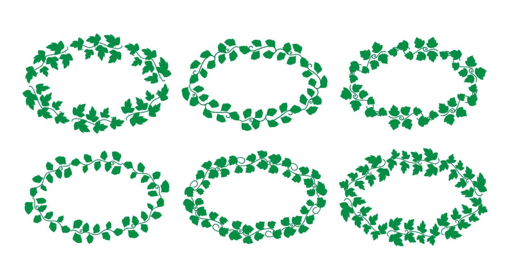 Conjunto de elementos de bordes dibujados a mano colección, vector de adorno de remolino floral
