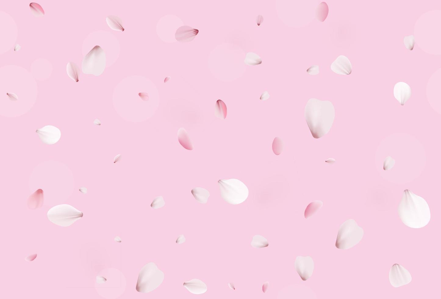 Sakura petals. Pink cherry blossom. vector