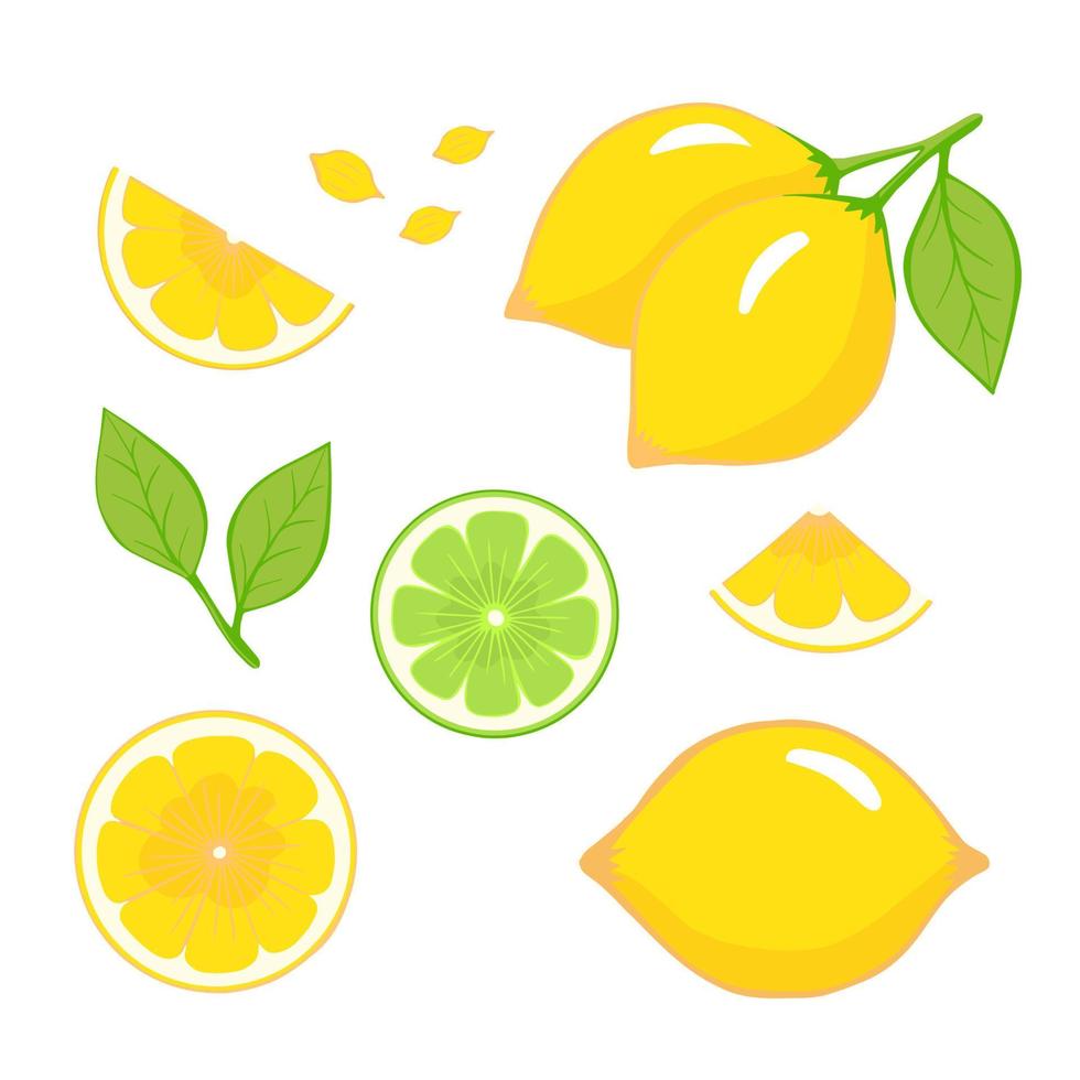 Lemon vector. Set of whole, cut in half, sliced on pieces fresh lemons, leaves, seeds. Illustration for printing, backgrounds. Vibrant juicy ripe citrus fruit collection isolated on white background. vector