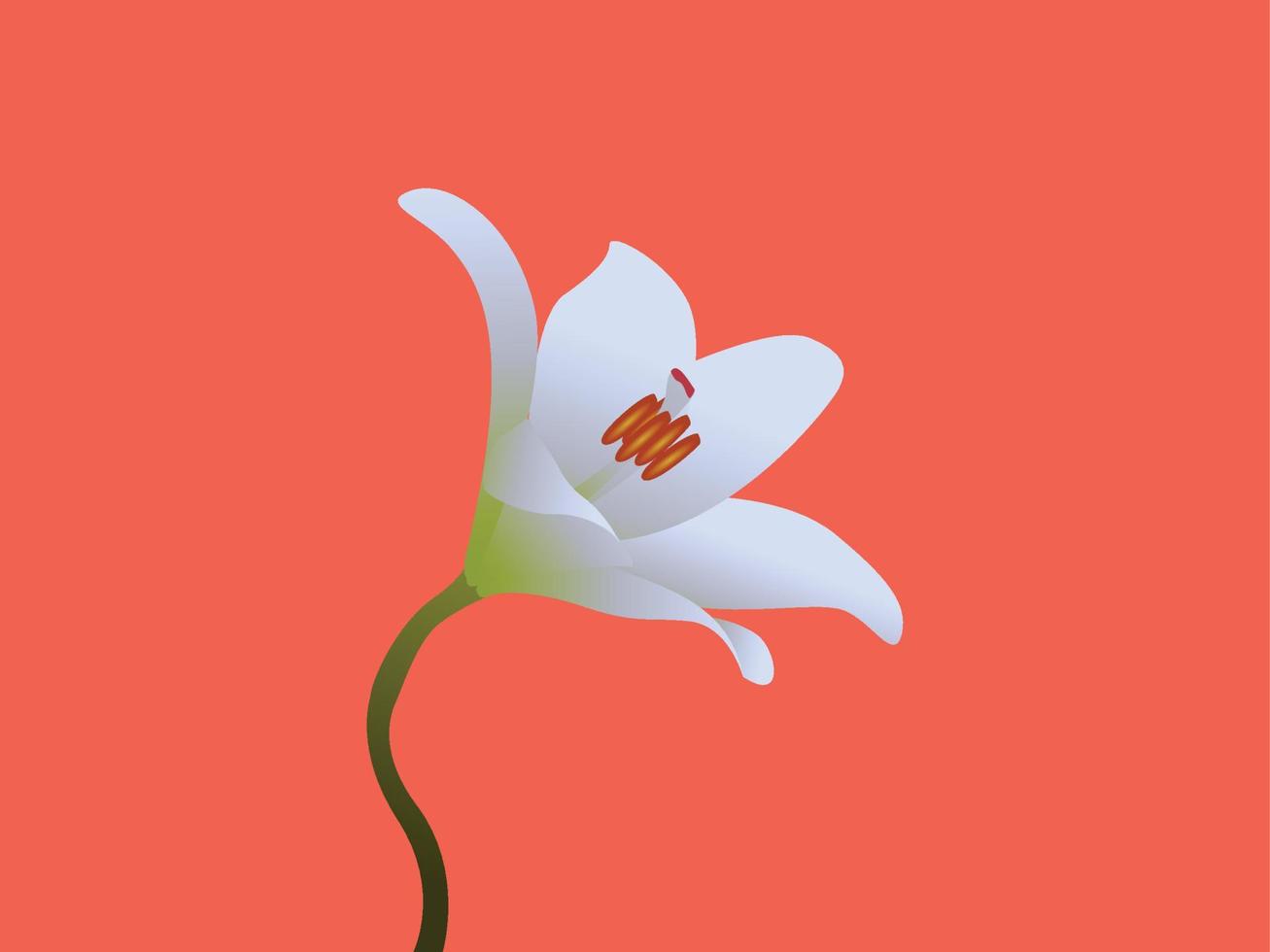 flor blanca, flor hermosa, flor ilustración 4224848 Vector en Vecteezy
