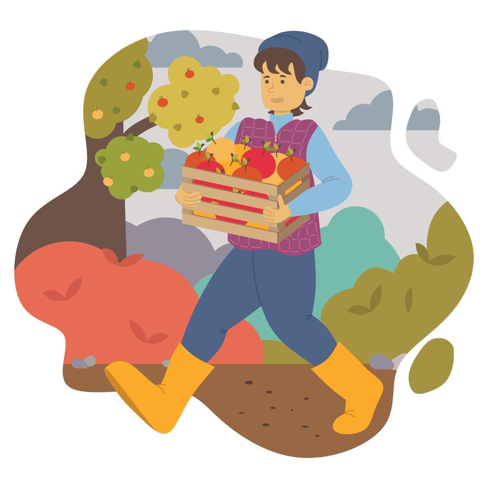 Ilustración vectorial de un chico feliz con un sombrero y botas de goma que llevan una caja de madera con manzanas maduras del jardín vector