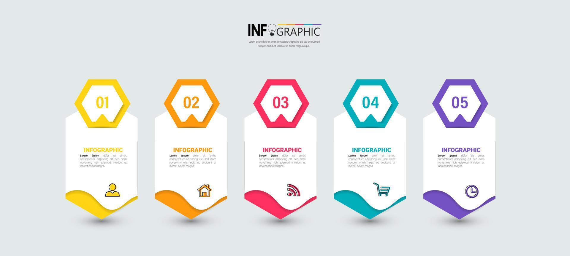 Colorful step business infographic vector