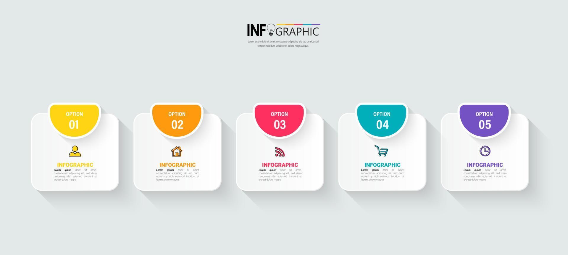 Business infographic template vector