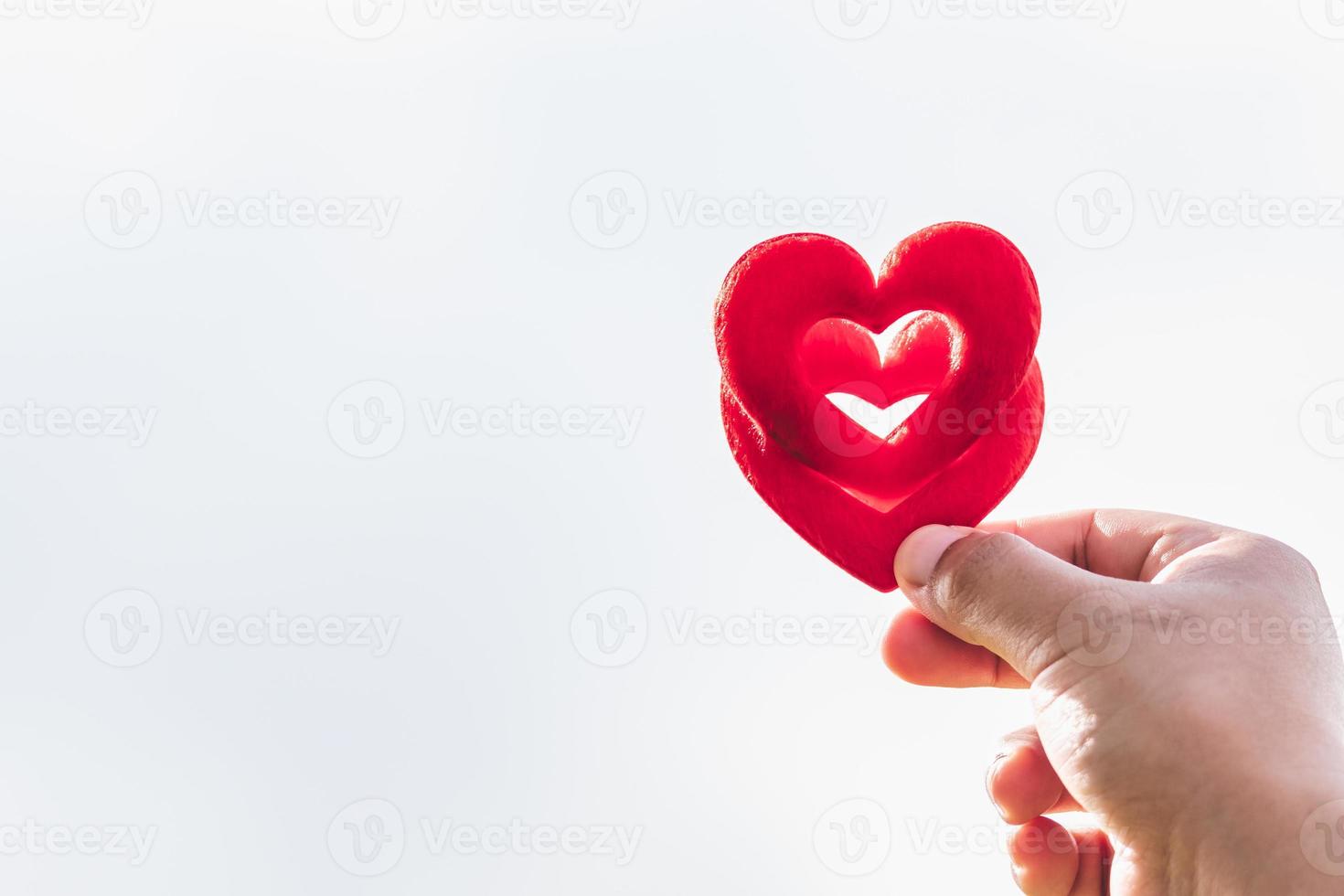 Hand holding two red hearth on isolated white background. Valentine's day concept. Copy space. photo